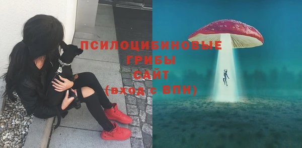 ECSTASY Волоколамск